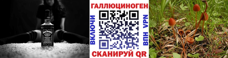 даркнет сайт  Короча  Галлюциногенные грибы Magic Shrooms 